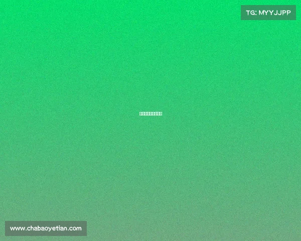 铁岭哪有电脑培训班